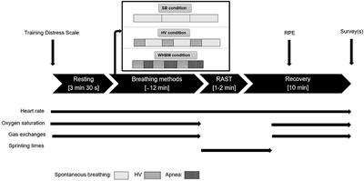 Acute Effects of the Wim Hof Breathing Method on Repeated Sprint Ability: A Pilot Study